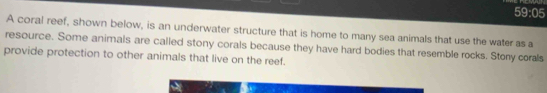 59:05 
A coral reef, shown below, is an underwater structure that is home to many sea animals that use the water as a 
resource. Some animals are called stony corals because they have hard bodies that resemble rocks. Stony corals 
provide protection to other animals that live on the reef.