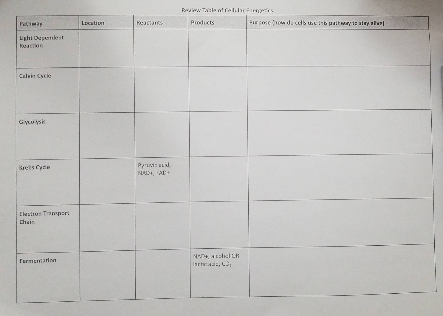 Review Table of Cellular Energetics