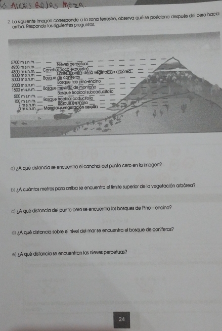 La siguiente imagen corresponde a la zona terrestre, observa qué se posiciona después del cero hacía 
arriba. Responde las siguientes preguntas. 
a) ¿A qué distancia se encuentra el canchal del punto cero en la imagen? 
b)¿ A cuántos metros para arriba se encuentra el liímite superior de la vegetación arbórea? 
c) ¿A qué distancia del punto cero se encuentra los bosques de Pino- encino? 
d) ¿A qué distancia sobre el nivel del mar se encuentra el bosque de coniferas? 
e) ¿A qué distancia se encuentran las nieves perpetuas? 
24