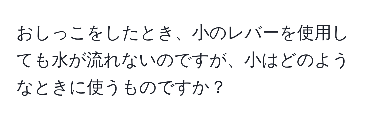 おしっこをしたとき、小のレバーを使用しても水が流れないのですが、小はどのようなときに使うものですか？