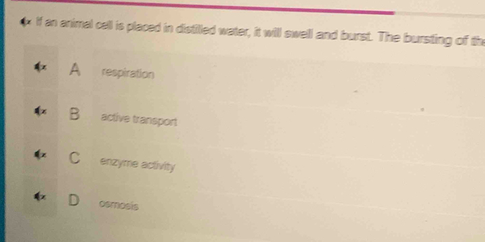 If an animal cell is placed in distilled water, it will swell and burst. The bursting of the
A respiration
active transport
C enzyme activity
osmosis