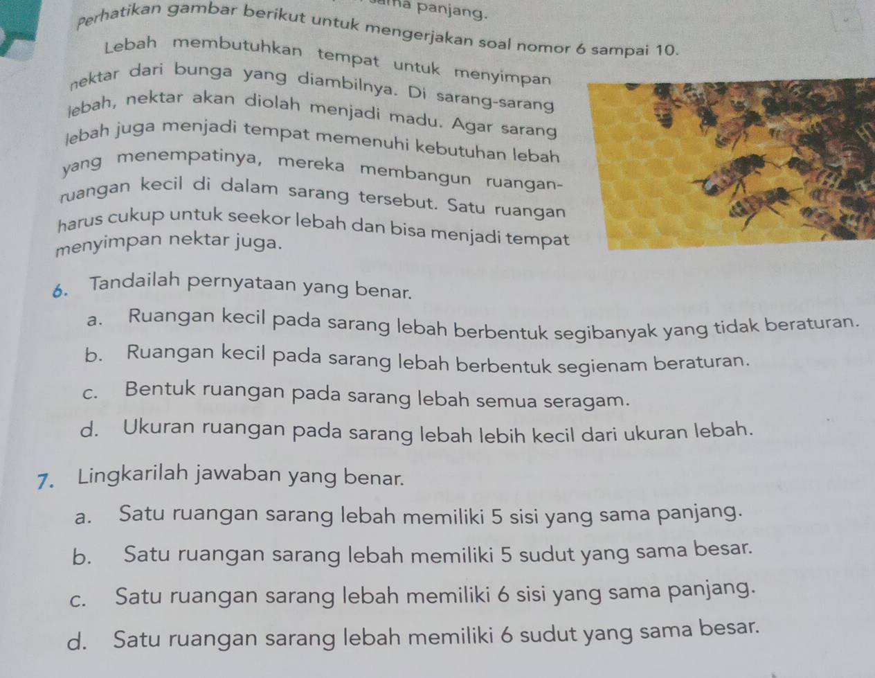 aa panjang.
Perhatikan gambar berikut untuk mengerjakan soal nomor 6 sampai 10.
Lebah membutuhkan tempat untuk menyimpan
nektar dari bunga yang diambilnya. Di sarang-sarang
lebah, nektar akan diolah menjadi madu. Agar sarang
lebah juga menjadi tempat memenuhi kebutuhan lebah
yang menempatinya, mereka membangun ruangan-
ruangan kecil di dalam sarang tersebut. Satu ruangan
harus cukup untuk seekor lebah dan bisa menjadi tempat
menyimpan nektar juga.
6. Tandailah pernyataan yang benar.
a. Ruangan kecil pada sarang lebah berbentuk segibanyak yang tidak beraturan.
b. Ruangan kecil pada sarang lebah berbentuk segienam beraturan.
c. Bentuk ruangan pada sarang lebah semua seragam.
d. Ukuran ruangan pada sarang lebah lebih kecil dari ukuran lebah.
7. Lingkarilah jawaban yang benar.
a. Satu ruangan sarang lebah memiliki 5 sisi yang sama panjang.
b. Satu ruangan sarang lebah memiliki 5 sudut yang sama besar.
c. Satu ruangan sarang lebah memiliki 6 sisi yang sama panjang.
d. Satu ruangan sarang lebah memiliki 6 sudut yang sama besar.