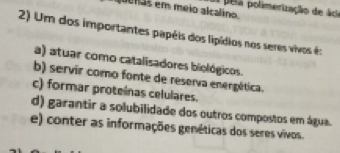 denas em meio alcalino. pela polimerização de áci
2) Um dos importantes papéis dos lipídios nos seres vivos é:
a) atuar como catalisadores biológicos.
b) servir como fonte de reserva energética.
c) formar proteínas celulares.
d) garantir a solubilidade dos outros compostos em água.
e) conter as informações genéticas dos seres vivos.