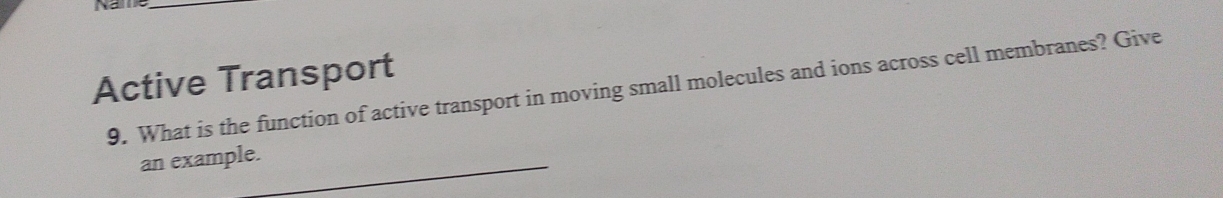 Active Transport 
9. What is the function of active transport in moving small molecules and ions across cell membranes? Give 
an example.
