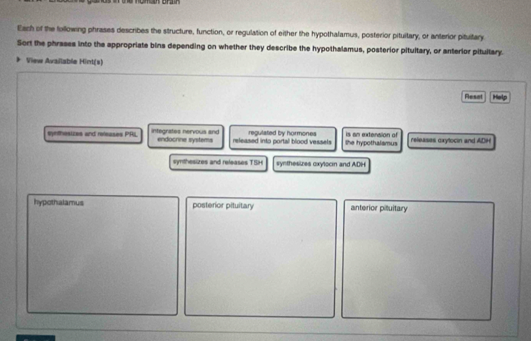 Solved: Each of the following phrases describes the structure, function ...