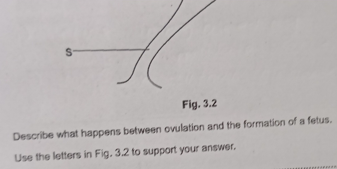 Fig. 3.2 
Describe what happens between ovulation and the formation of a fetus. 
Use the letters in Fig. 3.2 to support your answer.