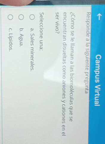 Campus Virtual
Responde a la siguiente pregunta
¿Cómo se le llaman a las biomoléculas que se
encuentran disueltas como aniones y cationes en el
ser vivo?
Seleccione una:
a. Sales minerales.
b. Agua.
c. Lípidos.