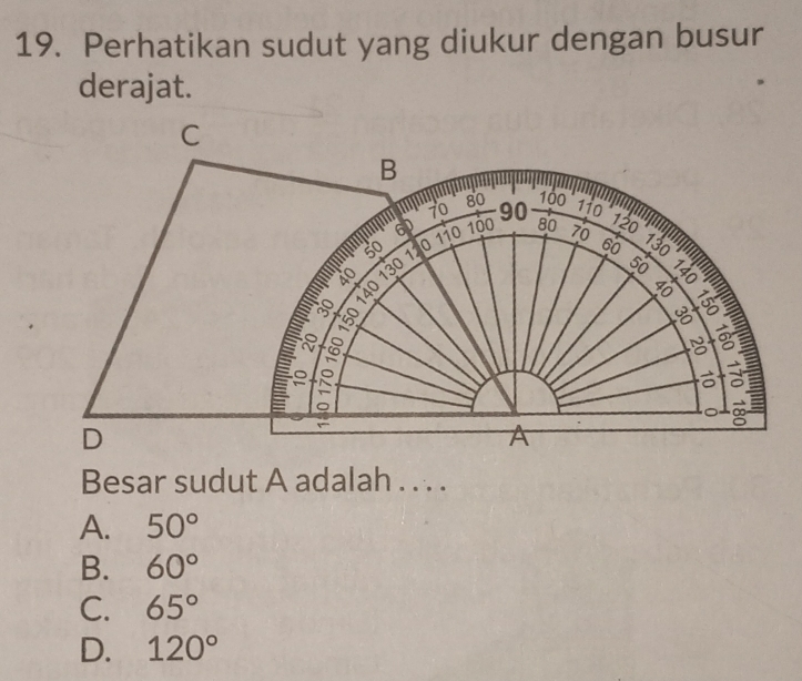 Perhatikan sudut yang diukur dengan busur
derajat.
C
B
80 100
70 110
110
m 60 100 90 80 70
120
50 0 60 130
50
40
8
8 -——
o
8

∞
D
A
Besar sudut A adalah . . . .
A. 50°
B. 60°
C. 65°
D. 120°