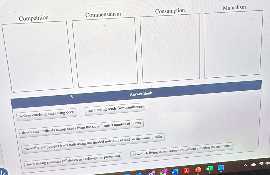 Competition Commensalism Consumption
Mutualism
Answer Bank
wolves catching and eating deer mice eating seeds from sunflowers
doves and cardinals eating seeds from the same limited number of plants
mesquite and juniper trees both using the limited nutrients in soil on the same hillside
birds eating parasites off rhinos in exchange for protection clownfish living in sea anemones without affecting the anemones