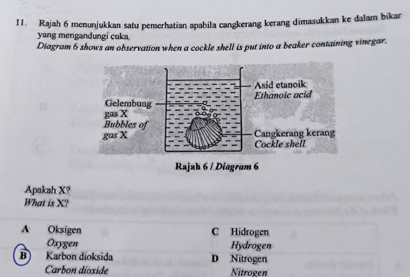 Rajah 6 menunjukkan satu pemerhatian apabila cangkerang kerang dimasukkan ke dalam bikar
yang mengandungi cuka.
Diagram 6 shows an observation when a cockle shell is put into a beaker containing vinegar.
Rajah 6 / Diagram 6
Apakah X?
What is X?
A Oksigen C Hidrogen
Oxygen Hydrogen
B) Karbon dioksida D Nitrogen
Carbon dioxide Nitrogen