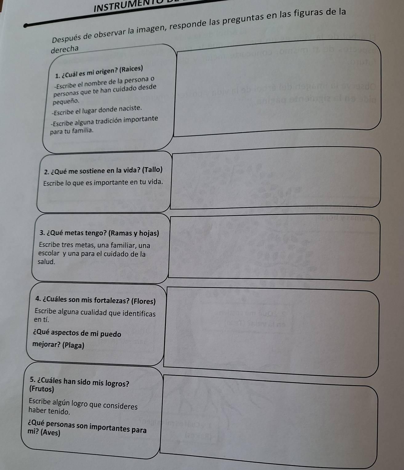 INSTRUMENTC 
Después de observar la imagen, responde las preguntas en las figuras de la 
derecha 
1. ¿Cuál es mi origen? (Raices) 
-Escribe el nombre de la persona o 
personas que te han cuidado desde 
pequeño. 
-Escribe el lugar donde naciste. 
-Escribe alguna tradición importante 
para tu familia. 
2. ¿Qué me sostiene en la vida? (Tallo) 
Escribe lo que es importante en tu vida. 
3. ¿Qué metas tengo? (Ramas y hojas) 
Escribe tres metas, una familiar, una 
escolar y una para el cuidado de la 
salud. 
4. ¿Cuáles son mis fortalezas? (Flores) 
Escribe alguna cualidad que identificas 
en tí. 
¿Qué aspectos de mi puedo 
mejorar? (Plaga) 
5. ¿Cuáles han sido mis logros? 
(Frutos) 
Escribe algún logro que consideres 
haber tenido. 
¿Qué personas son importantes para 
mi? (Aves)