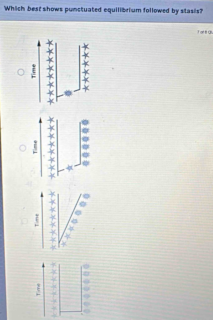 Which best shows punctuated equilibrium followed by stasis?