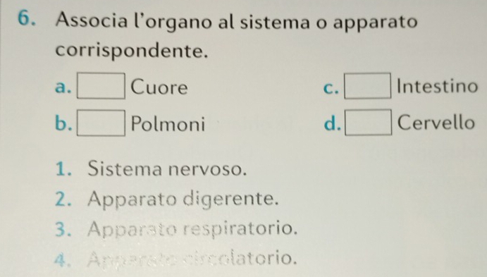 Associa l’organo al sistema o apparato
corrispondente.
a. Cuore Intestino
C.
b. Polmoni d. □  Cervello
1. Sistema nervoso.
2. Apparato digerente.
3. Apparato respiratorio.
4. Apperato circolatorio.