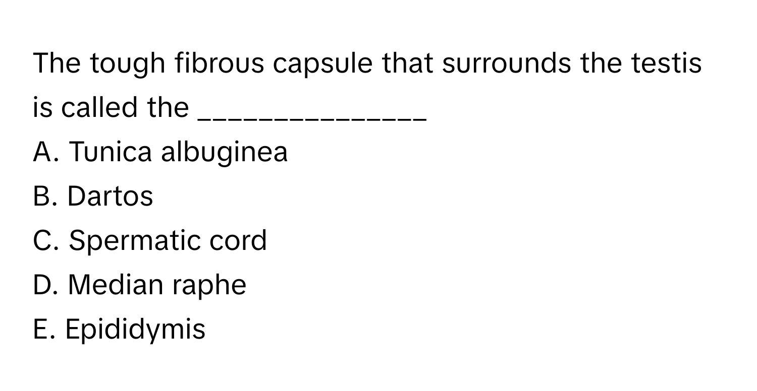 The tough fibrous capsule that surrounds the testis is called the _______________

A. Tunica albuginea
B. Dartos
C. Spermatic cord
D. Median raphe
E. Epididymis