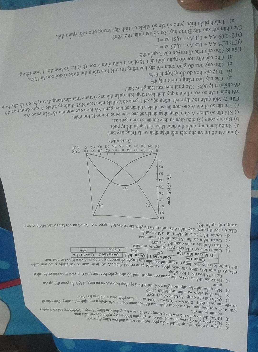 b) Trong tự nhiện, các quần thể ngẫu phối luôn đạt trạng thái cân bằng di truyền.
c) Ngẫu phối dẫn đến cân bằng về mặt di truyền nên không có ý nghĩa đổi với tiến hóa
d) Không thể có quần thể cân bằng trong tự nhiên nên trạng thái cần bằng Hardy - Weinberg chi có ý nghĩa
về mặt lý thuyết.
Câu 4: sigma một loài hoa, allele A qui định màu đỏ trội hoàn toàn so với allele a qui định màu trắng. Cầu trúc di
truyền của quần thể P:0,64AA+0,32Aa+0,04aa=1 Các phát biểu sau Đúng hay Sai?
a) Quần thể này đang cân bằng về di truyền.
b) Tần số allele A và a lần lượt là 0,8 và 0,2.
c) Nếu quần thể này tiếp tục ngầu phối, thì ở F2 tỉ lệ đồng hợp AA và aa tăng, tỉ lệ kiểu gene dị hợp Aa
giam.
d) Nếu quần thể có sự tác động của con người, loại bỏ những cây hoa trắng thì tỉ lệ kiểu hình của quần thể ở
F2 là 35 hoa đỏ: 1 hoa trắng.
Câu 5: Ở một loài động vật ngẫu phối, xét một gene có hai allele, A trội hoàn toàn so với allele a. Có bốn quần
thể thuộc loài này đều đanghư sau:
a của quần thể 3 là 25%.
c) Quần thể 4 có tần số kiểu hình lặn cao nhất.
d) Quần thể 2 có tỉ lệ kiều hình trội cao nhất.
Câu 6 : Đồ thị dưới đây biểu diễn mối quan hệ giữa tần số các kiểu gene AA, Aa và aa với tần số các allele A và a
trong một quần thể.
1.0
0.9
0.8 (1) (3)
0.7
0.6
0.5 (2)
0.4
0.3
0.2
0.1
0 0.1 0.2 0.3 04 0.5 0.6 0.7 0.8 0.9
1.0 0.9 0.8 0.7 0.6 0.5 0.4 0.3 0.2 0.2 3° p(A)
q(a)
Tần số Allele
Quan sát đồ thị và cho biết mỗi nhận định sau là Đúng hay Sai?
a) Nhiều khả năng quần thể được khảo sát là quần thể tự phối.
b) Đường cong (3) biểu diễn sự thay đổi tần số kiểu gene aa.
c) Khi tần số allele A và a bằng nhau thì tần số các kiểu gene dị hợp là lớn nhất.
d) Khi tần số allele A cao hơn tần số allele a thì tần số kiểu gene AA luôn cao hơn tần số kiểu gene Aa.
Câu 7: Một quần thể thực vật lưỡng bội, xét 1 gene có 2 allele nằm trên NST thường: allele A quy định hoa đỏ
trôi hoàn toàn so với allele a quy định hoa trắng. Khi quần thể này ở trạng thái cân bằng di truyền có số cây hoa
đò chiếm tỉ lệ 96%. Các phát biểu sau Đúng hay Sai?
a) Các cây hoa trắng chiếm tỉ lệ 4%.
b) Tỉ lệ cây hoa đỏ đồng hợp là 64%
c) Cho cây hoa đỏ giao phần với cây hoa trắng thì tỉ lệ hoa trắng thu được ở đời con là 17%.
d) Cho các cây hoa đỏ ngẫu phối thì tỉ lệ phân li kiểu hình ở con (F1) là: 35 hoa đỏ: 1 hoa trắng.
Câu 8: Cho cầu trúc di truyền của 2 quần thể:
QTI: 0,25AA+0,5Aa+0,25aa=1.
QT2: 0,09AA+0,1Aa+0,81aa=1
Các nhận xét sau đây Đúng hay Sai về hai quần thể trên?
a) Thành phần kiểu gene và tân số allele có tính đặc trưng cho mỗi quần thể.