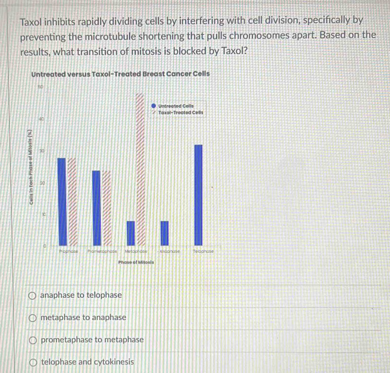 Taxol inhibits rapidly dividing cells by interfering with cell division, specifically by
preventing the microtubule shortening that pulls chromosomes apart. Based on the
results, what transition of mitosis is blocked by Taxol?
Untreated versus Taxol-Treated Breast Cancer Cells
90
Untreated Cells
Taxol-Trected Cells
40
ξ 30
20
1
。
Pophose Prometophose Metophase - Anpanose Teloonase
Phase of Mitosis
anaphase to telophase
metaphase to anaphase
prometaphase to metaphase
telophase and cytokinesis