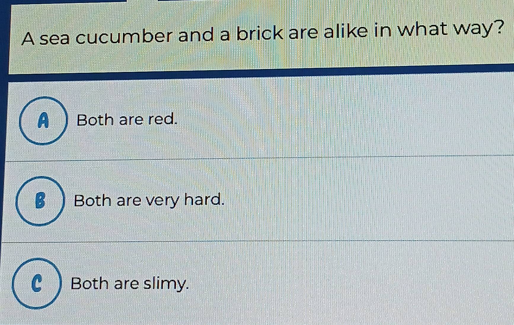 A sea cucumber and a brick are alike in what way?
Both are red.
Both are very hard.
Both are slimy.