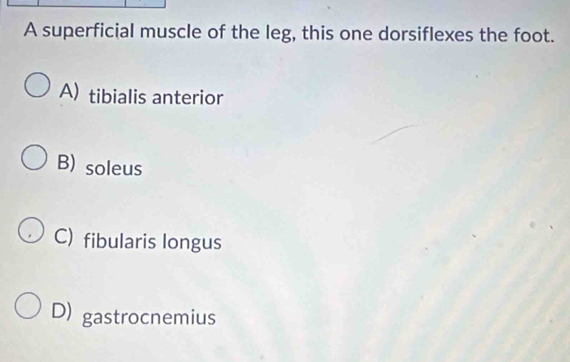 A superficial muscle of the leg, this one dorsiflexes the foot.
A) tibialis anterior
B) soleus
C) fibularis longus
D) gastrocnemius