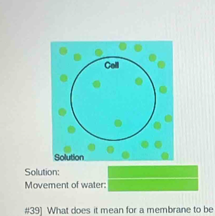 Solution: 
Movement of water: 
#39] What does it mean for a membrane to be