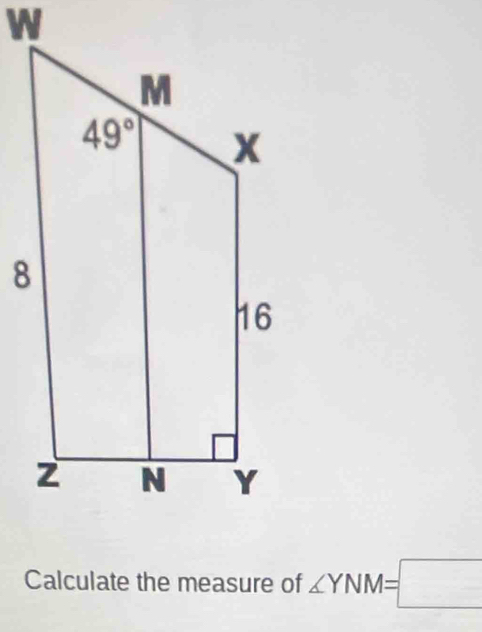 Calculate the measure of ∠ YNM=□