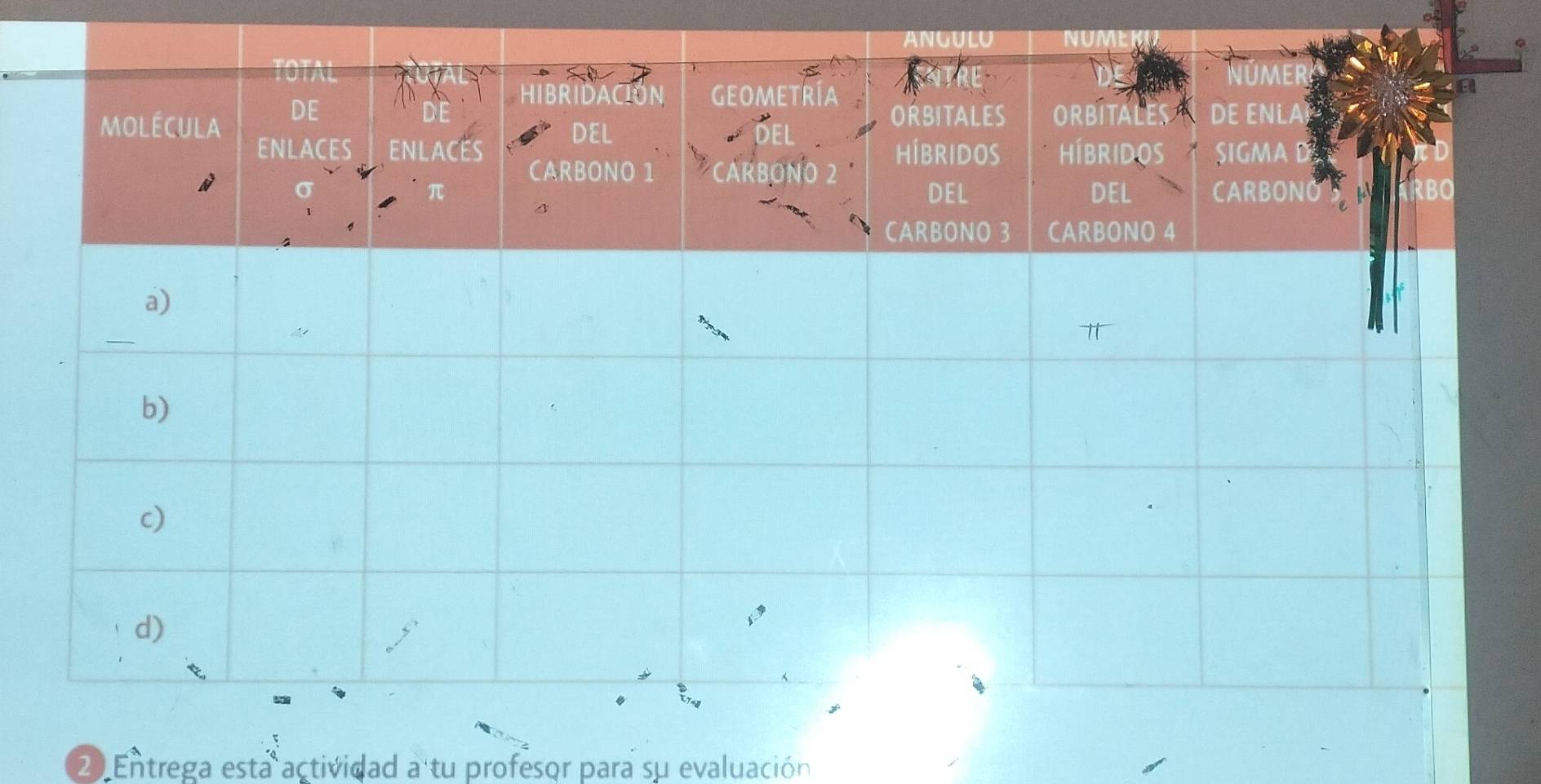 ANGULU NUN 
20 Entrega esta actividad a tu profesor para su evaluación