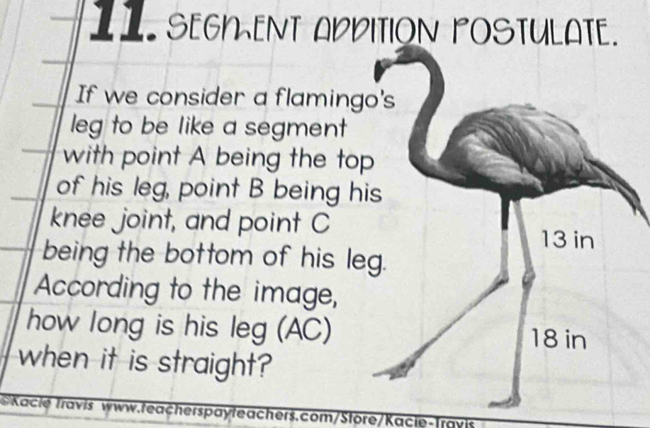 SEGMENT APDITION POSTULATE. 
If we consider a flaming 
leg to be like a segment 
with point A being the to 
of his leg, point B being h 
knee joint, and point C
being the bottom of his l 
According to the image, 
how long is his leg (AC) 
when it is straight? 
Kacie Travis www.teacherspayteachers.com/Store/Kacie-Travis