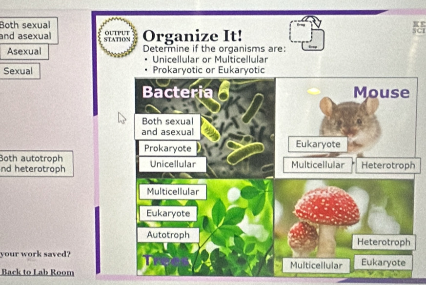 Both sexual KE 
and asexual STATION output Organize It! SCI 
Asexual Determine if the organisms are: 
Unicellular or Multicellular 
Sexual Prokaryotic or Eukaryotic 
Both autotroph 
nd heterotroph 
your work saved? 
Back to Lab Room