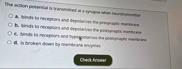 The action potential is transmitted at a synapse when neurotransmitter
a. binds to receptors and depolarizes the presynaptic membrane
b. binds to receptors and depolarizes the postsynaptic membrane
c. binds to receptors and hyperpolarizes the postsynaptic membrane
d. is broken down by membrane enzymes
Check Answer