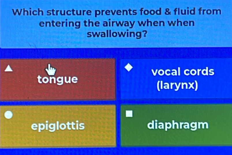 Which structure prevents food & fluid from
entering the airway when when
swallowing?
vocal cords
tongue
(larynx)
epiglottis diaphragm