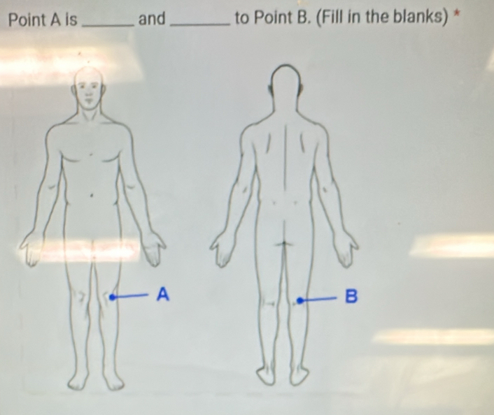 Point A is _and _to Point B. (Fill in the blanks) *
B