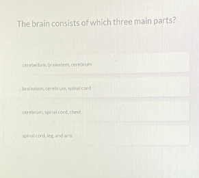 The brain consists of which three main parts?
cerebellum, brainstem, cerebrum
brainstem, cerebrum, spinal cord
cerebrum, spinal cord, chest
spinal cord, leg, and arm