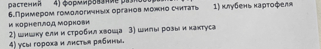 растений 4) φορΜиρδваηие ρазнός 
6.Примером гомологичньх органов можно считать 1) клубень картофеля 
и корнеллод Моркови 
2) шишку ели и стробил хвоша З) шилы розы и кактуса 
4) усы гороха и листья рябины.