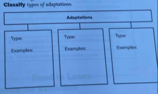 Classify types of adaptations.