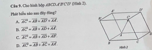 Cho hình hộp ABCD.A'B'C'D' (Hình 2).
Phát biểu nào sau đây đúng?
A. overline AC=overline AB+overline AD'+overline AA'.
B. overline AC=overline AB+overline AD+overline AA.
C. overline AC'=overline AB+overline AD+overline AB.
D
D. overline AC=overline AB+overline AC+overline AA'.
Hình 2