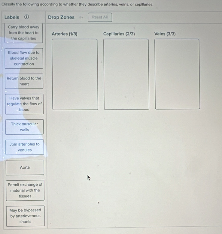 Classify the following according to whether they describe arteries, veins, or capillaries. 
Labels ① Drop Zones Reset All 
Carry blood away 
from the heart to Arteries (1/3) Capillaries (2/3) Veins (3/3)
the capillaries 
Blood flow due to 
skeletal muscle 
contraction 
Return blood to the 
heart 
Have valves that 
regulate the flow of 
blood 
Thick muscular 
walls 
Join arterioles to 
venules 
Aorta 
Permit exchange of 
material with the 
tissues 
May be bypassed 
by arteriovenous 
shunts
