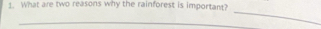 What are two reasons why the rainforest is important? 
_ 
_