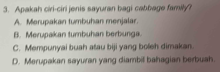 Apakah ciri-ciri jenis sayuran bagi cabbage family?
A. Merupakan tumbuhan menjalar,
B. Merupakan tumbuhan berbunga.
C. Mempunyai buah atau biji yang boleh dimakan.
D. Merupakan sayuran yang diambil bahagian berbuah.