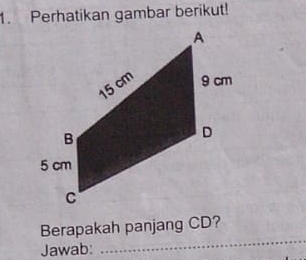 Perhatikan gambar berikut! 
_ 
Berapakah panjang CD? 
Jawab: