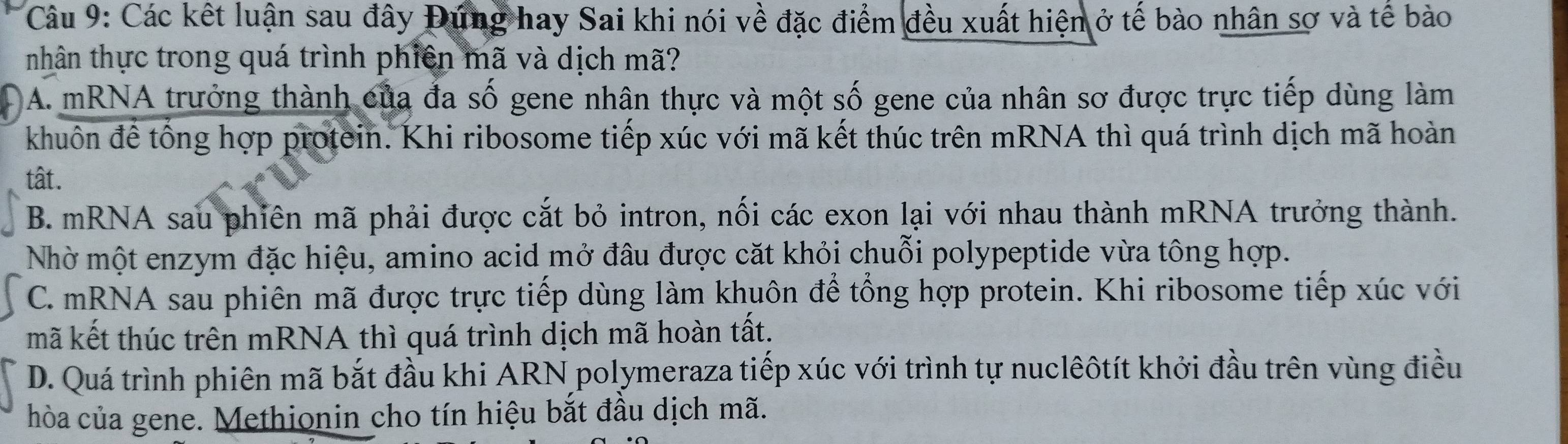 Các kết luận sau đây Đúng hay Sai khi nói về đặc điểm đều xuất hiện ở tế bào nhân sơ và tế bào
nhân thực trong quá trình phiên mã và dịch mã?
A. mRNA trưởng thành của đa số gene nhân thực và một số gene của nhân sơ được trực tiếp dùng làm
khuôn để tổng hợp protein. Khi ribosome tiếp xúc với mã kết thúc trên mRNA thì quá trình dịch mã hoàn
tât.
B. mRNA sau phiên mã phải được cắt bỏ intron, nối các exon lại với nhau thành mRNA trưởng thành.
Nhờ một enzym đặc hiệu, amino acid mở đâu được căt khỏi chuỗi polypeptide vừa tông hợp.
C. mRNA sau phiên mã được trực tiếp dùng làm khuôn để tổng hợp protein. Khi ribosome tiếp xúc với
mã kết thúc trên mRNA thì quá trình dịch mã hoàn tất.
D. Quá trình phiên mã bắt đầu khi ARN polymeraza tiếp xúc với trình tự nuclêôtít khởi đầu trên vùng điều
hòa của gene. Methionin cho tín hiệu bắt đầu dịch mã.