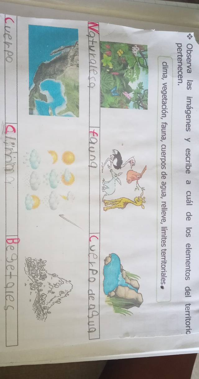 Observa las imágenes y escribe a cuál de los elementos del territoric
pertenecen.
clima, vegetación, fauna, cuerpos de agua, relieve, límites territoriales