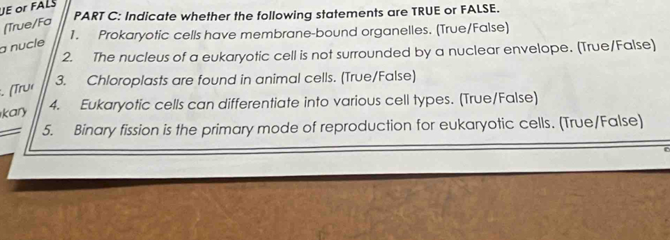 JE or FALS 
PART C: Indicate whether the following statements are TRUE or FALSE. 
(True/Fa 
1. Prokaryotic cells have membrane-bound organelles. (True/False) 
a nucle 
2. The nucleus of a eukaryotic cell is not surrounded by a nuclear envelope. (True/False) 
3. Chloroplasts are found in animal cells. (True/False) 
. (Tru 
kary 4. Eukaryotic cells can differentiate into various cell types. (True/False) 
5. Binary fission is the primary mode of reproduction for eukaryotic cells. (True/False)