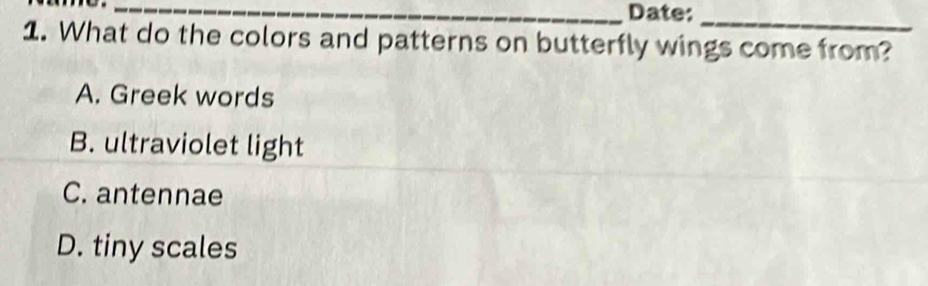 Date:_
1. What do the colors and patterns on butterfly wings come from?
A. Greek words
B. ultraviolet light
C. antennae
D. tiny scales