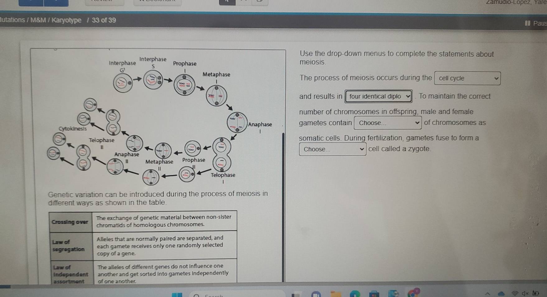 Zamudio-López, Yare
lutations / M&M / Karyotype / 33 of 39
I Paus
Use the drop-down menus to complete the statements about
meiosis
cell cycle
The process of meiosis occurs during the
and results in four identical diplo To maintain the correct
number of chromosomes in offspring, male and female
gametes contain Choose. of chromosomes as
somatic cells. During fertilization, gametes fuse to form a
Choose... cell called a zygote.
Genetic variation can be introduced during the process of meiosis in
different ways as shown in the table.
The exchange of genetic material between non-sister
Crossing over chromatids of homologous chromosomes.
Law of Alleles that are normally paired are separated, and
each gamete receives only one randomly selected
segregation copy of a gene.
Law of The alleles of different genes do not influence one
independent another and get sorted into gametes independently
assortment of one another.