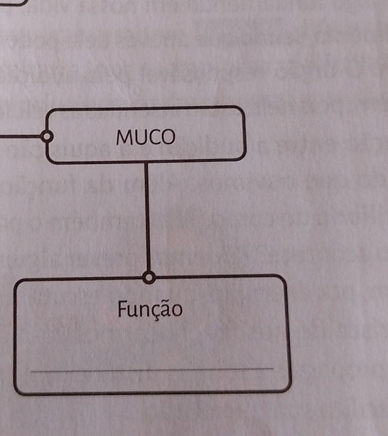 MUCO 
Função 
_