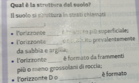 Qual è la struttura del suolo? 
Il suolo si stuttura in strati chiamati 
_; 
l'orizzonte _À la siopto più superficiale; 
l'orizzonte_ é posnínito prevalentemente 
da sabbia e argilia; 
l'orizzonte _é formato da frammenti 
più o meno grossolani di roccia; 
l'orizzonte D o _è formato