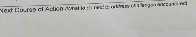 Next Course of Action (What to do next to address challenges encountered)