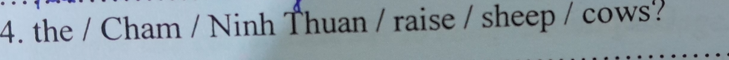 the / Cham / Ninh Thuan / raise / sheep / cows?