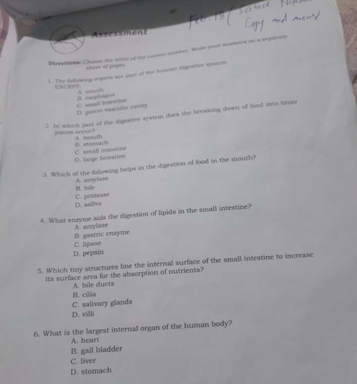 Assessment
Directions: Choose the letter of the rurrect answer. Write your answers on a separate
shres of paper.
1. The follmeng organs are part of the human digeative system
EXCEPT
B. esophigus A. msoth
C. small intestine
D. gastro vascular cavity
2. In which part of the digestive system does the breaking down of food into tinier
pieces occur?
A. mouth
B stomach
D. large Intestine C. small intestine
3. Which of the following helps in the digestion of food in the mouth?
A. amylase
B. bile
C. protease
D. saliva
4. What enzyme aids the digestion of lipids in the small intestine?
A. amylase
B. gastric enzyme
C. lipase
D. pepsin
5. Which tiny structures line the internal surface of the small intestine to increase
its surface area for the absorption of nutrients?
A. bile ducts
B. cilia
C. salivary glands
D. villi
6. What is the largest internal organ of the human body?
A. heart
B. gall bladder
C. liver
D. stomach