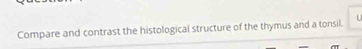 Compare and contrast the histological structure of the thymus and a tonsil.
