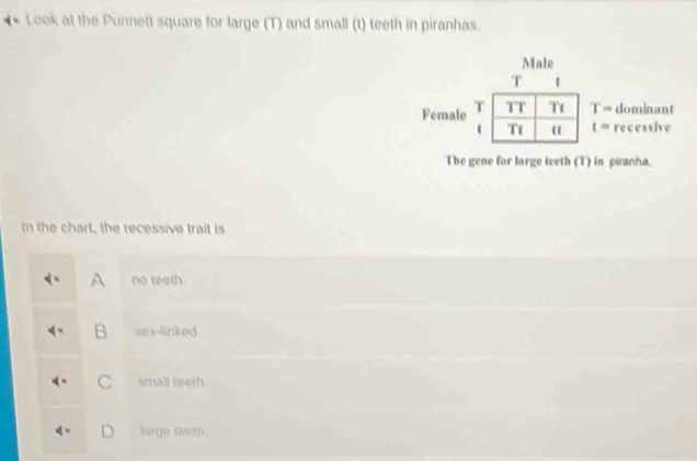 Look at the Punnett square for large (T) and small (t) teeth in piranhas.
Male
T 
Female T= dominant
t= recessive
The gene for large teeth (T) in piranha.
In the chart, the recessive trait is
A no teeth.
B sex-linked.
C small teeth.
D lairge teeth.